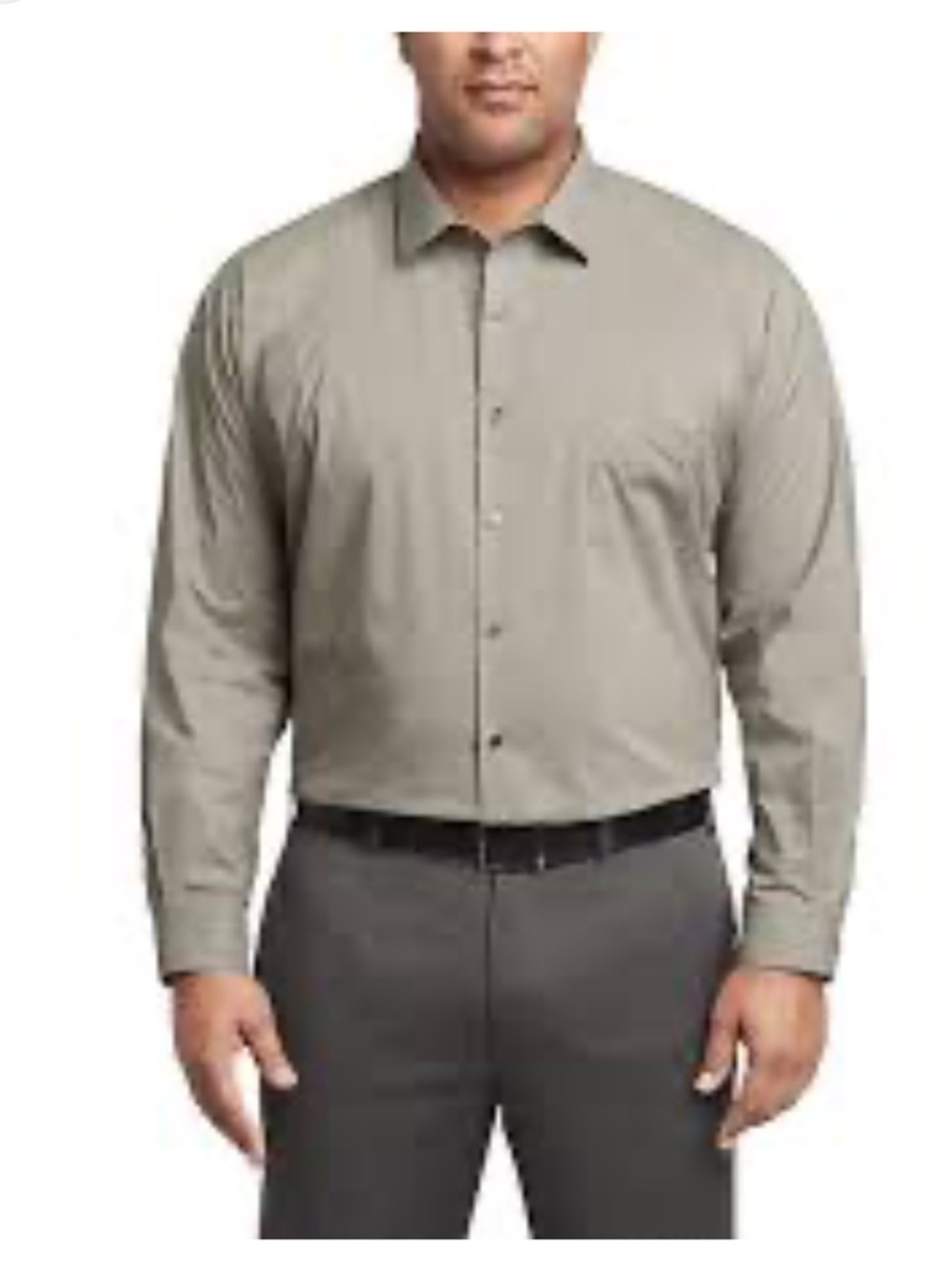 Pierre Cardin Men's Light Sage Green Long-Sleeve Dress Shirt